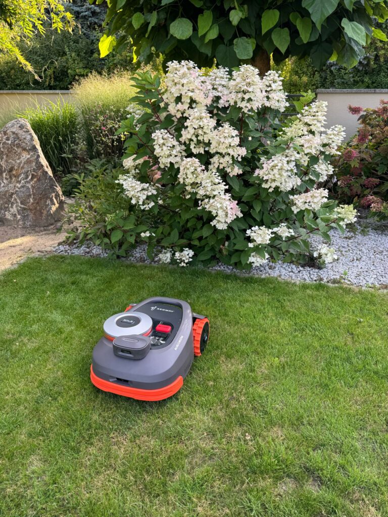 Wystartuj swojego robota
