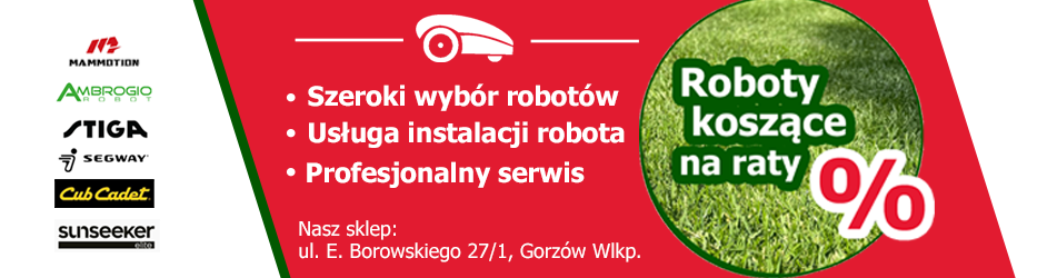 Robolux - raty